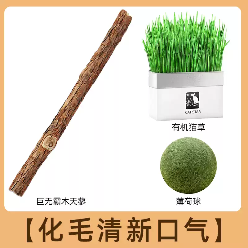 靈寵物語木天蓼磨牙棒磨牙潔齒貓咪玩具自嗨解悶神器逗貓棒貓薄荷耐咬 化毛清新口氣巨無霸木天蓼+有機