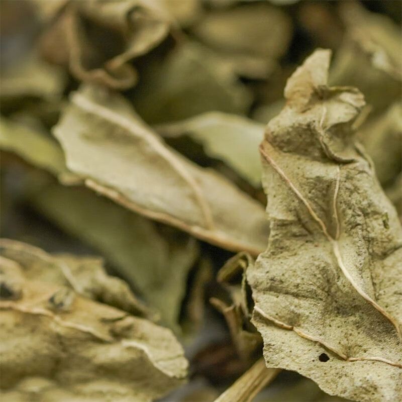 盛实百草薄荷叶中药材新鲜干货泡水泡茶食用薄荷中药饮片中药大药房 500克