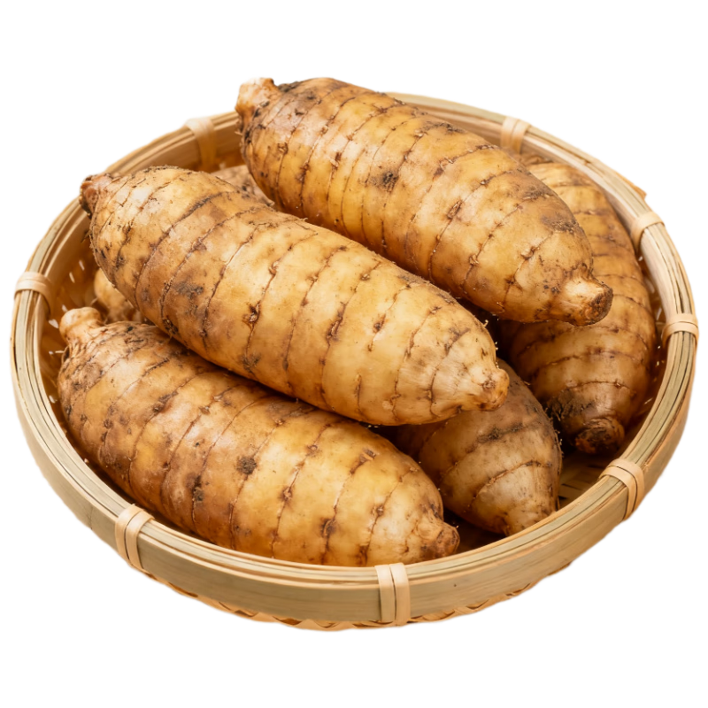 京觅云南昭通小草坝新鲜天麻 净重1斤 中果（5-7个） 源头直发包邮