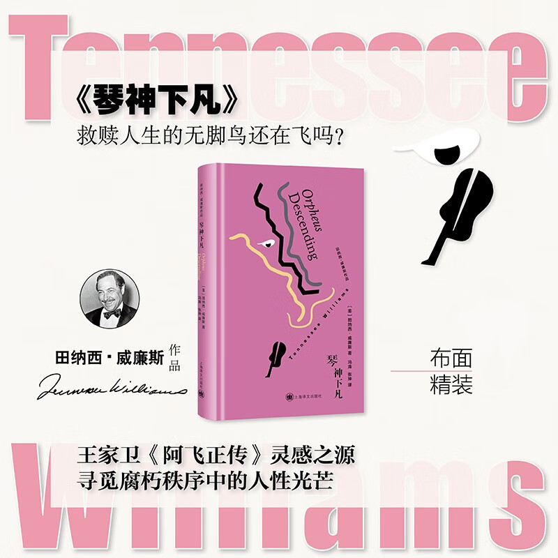 琴神下凡 田纳西·威廉斯作品 [美]田纳西·威廉斯 著 冯涛/张坤 译 王家卫《阿飞正传》灵感之源 琴神下凡 正版