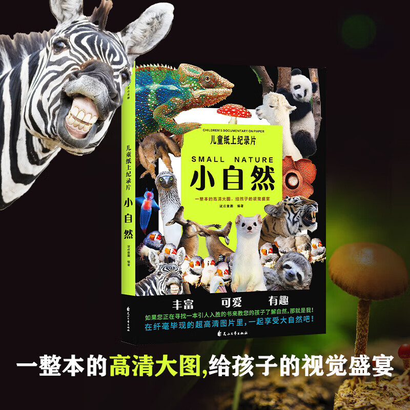 儿童纸上纪录片 小自然 波点童趣 一整本的高清大图 给孩子的视觉盛宴 少儿科普绘本百科全书课外读物绘本漫画 磨铁图书 正版书籍