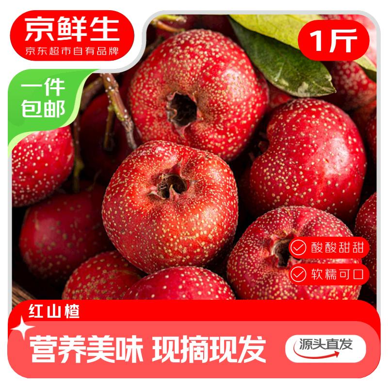 京鲜生 山东红山楂 净重1斤装  酸甜可口 生鲜水果 源头直发包邮