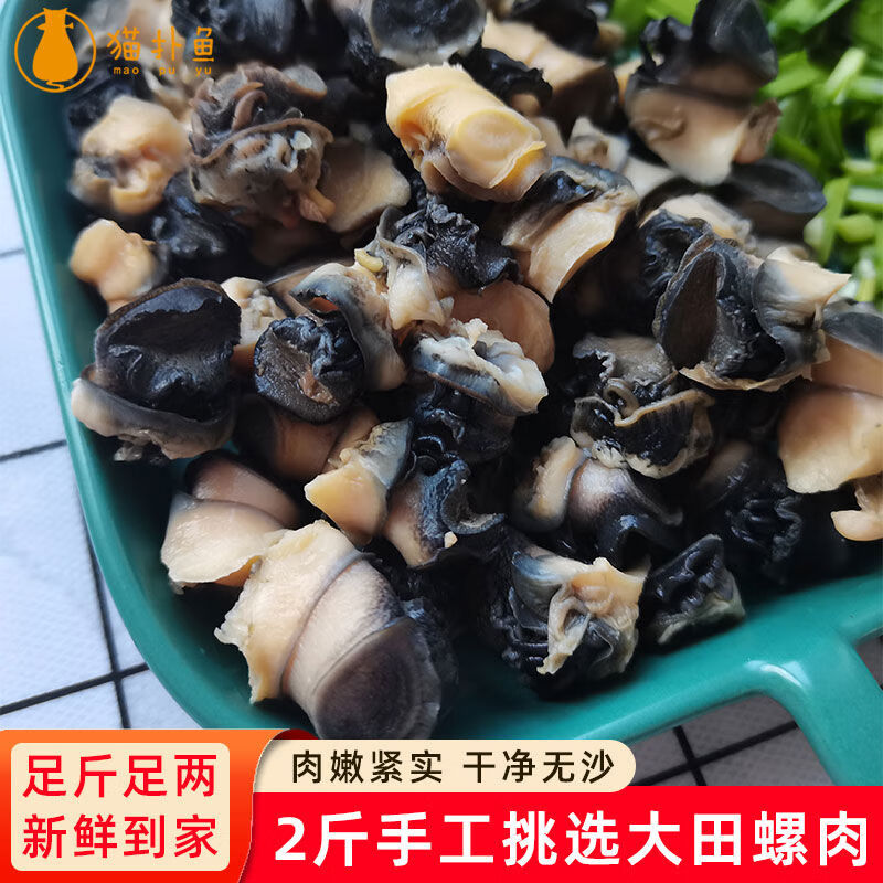貓撲魚(yú)（mao pu yu）貓撲魚(yú)微山湖大號(hào)田螺肉野生無(wú)沙手工挑選螺絲肉新鮮螺螄肉泥螺肉 2kg