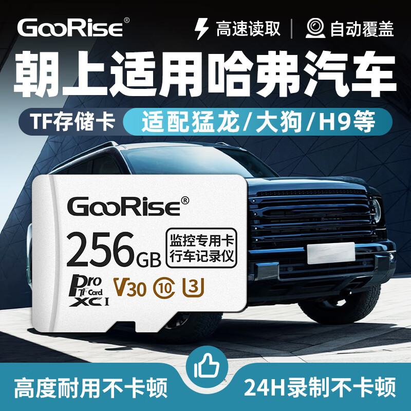 朝上TF卡适用哈弗行车记录仪内存卡猛龙/大狗/H9H6L专用FAT32格式高速class10高清4k循环录制 TF256G【行车记录仪专用内存卡】送读卡器