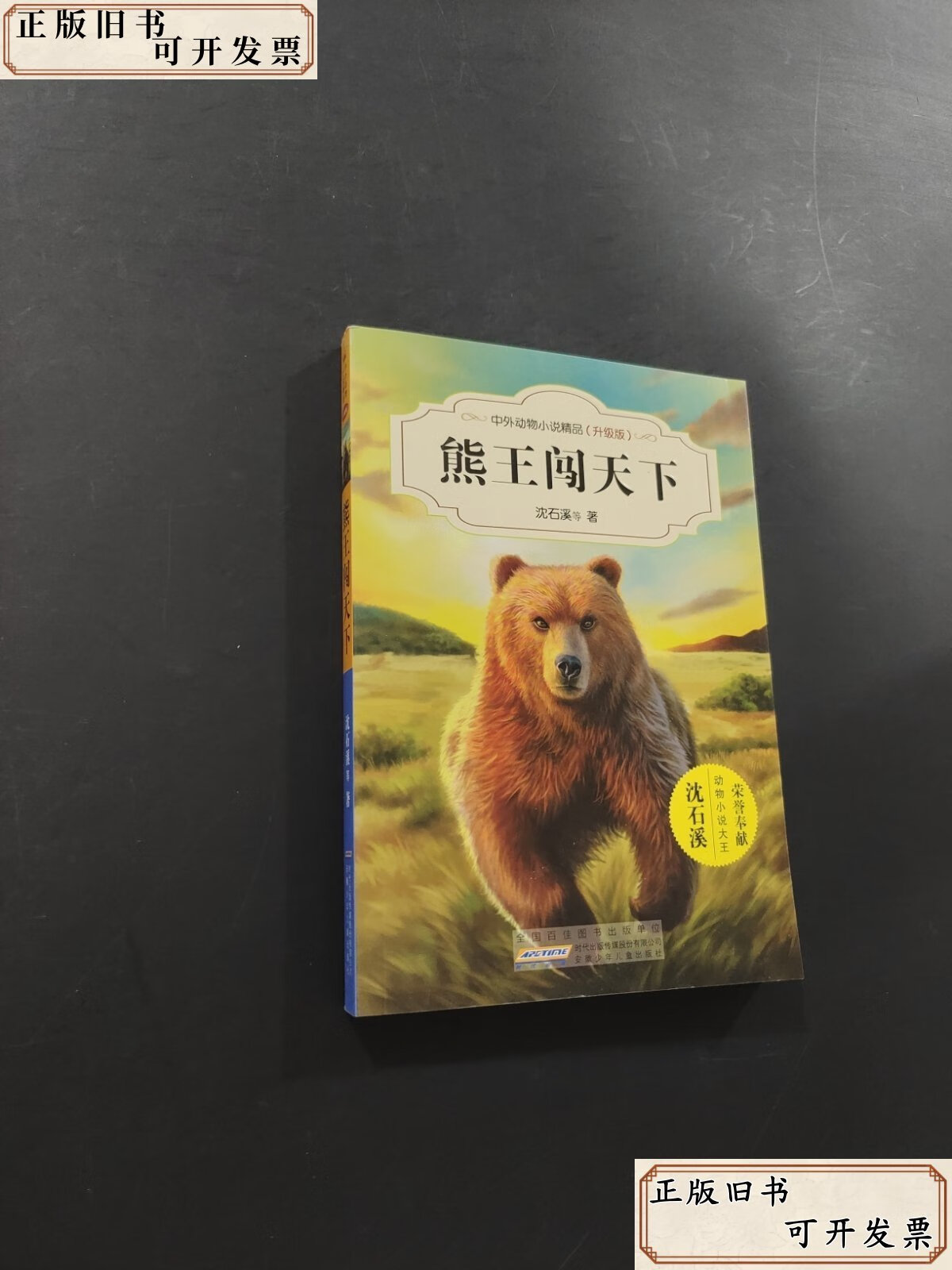 熊王闯天下 /沈石溪 安徽少年儿童出版社