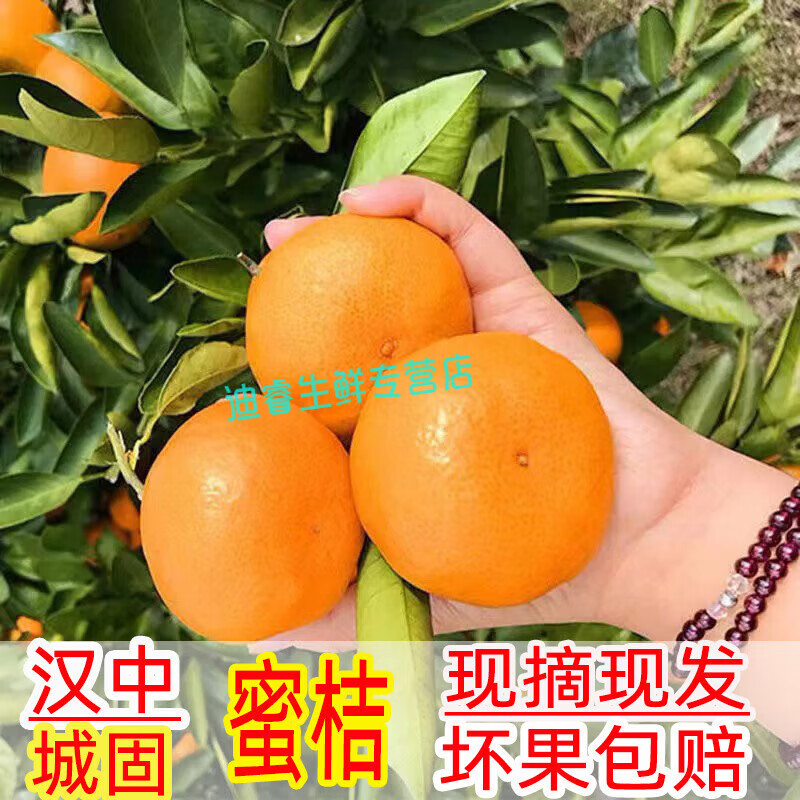 桃西村   陜西漢中城固升仙蜜橘柑橘新鮮孕婦無(wú)籽橘子當季現摘薄皮桔子 3斤 精選大果 