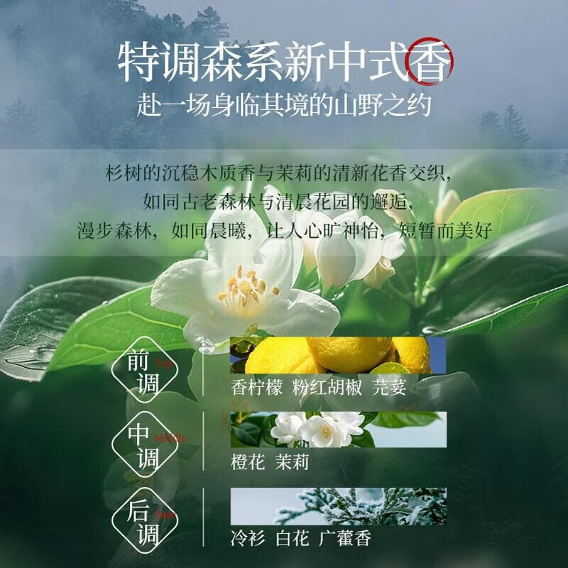 霸王侧柏叶控油洗发水强韧丰盈去屑蓬松洗头膏男女士草本香氛 【控油去屑蓬松】洗发水500ml*2