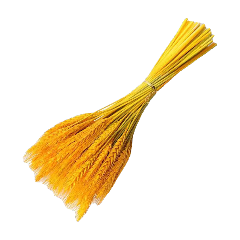 �����롿��ҵ��������ר�ô�������԰װ�ο�������ֱ���ɻ��ڼ� ����100֧��100%������