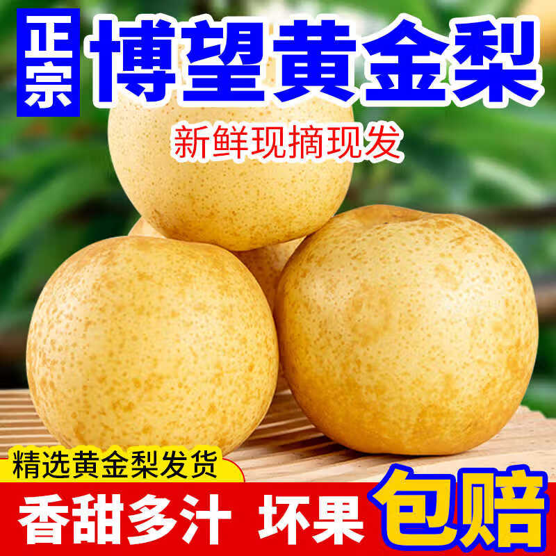 京觅 博望黄金梨 4.5斤9-12枚 当季新鲜水果生鲜冰糖梨子 源头直发