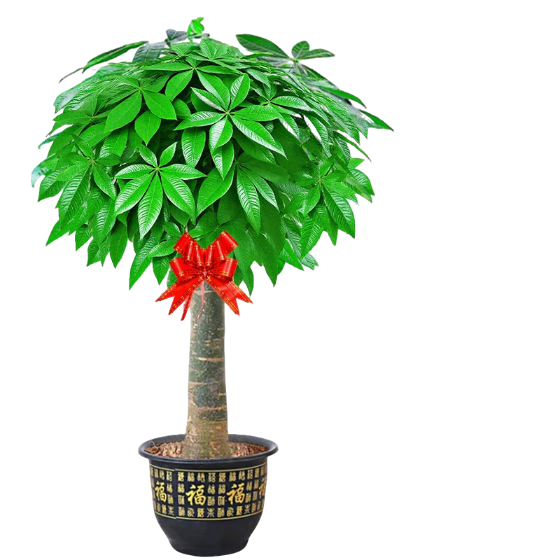 Դֲ칫Ǩҵ 1.2-1.4mԴͷֱ