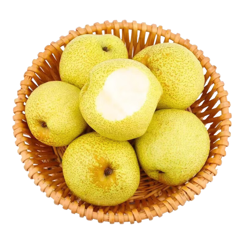 正宗砀山酥梨安徽特产秋日吃梨好时节启程 酥梨带箱9斤