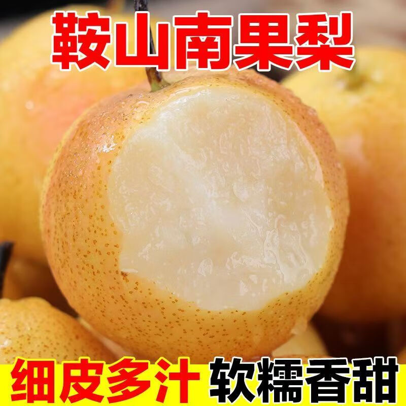 千园九味东北南果梨 正宗新鲜应季水果梨子东北当季生鲜南国梨香酥梨 南果梨精选5斤24枚