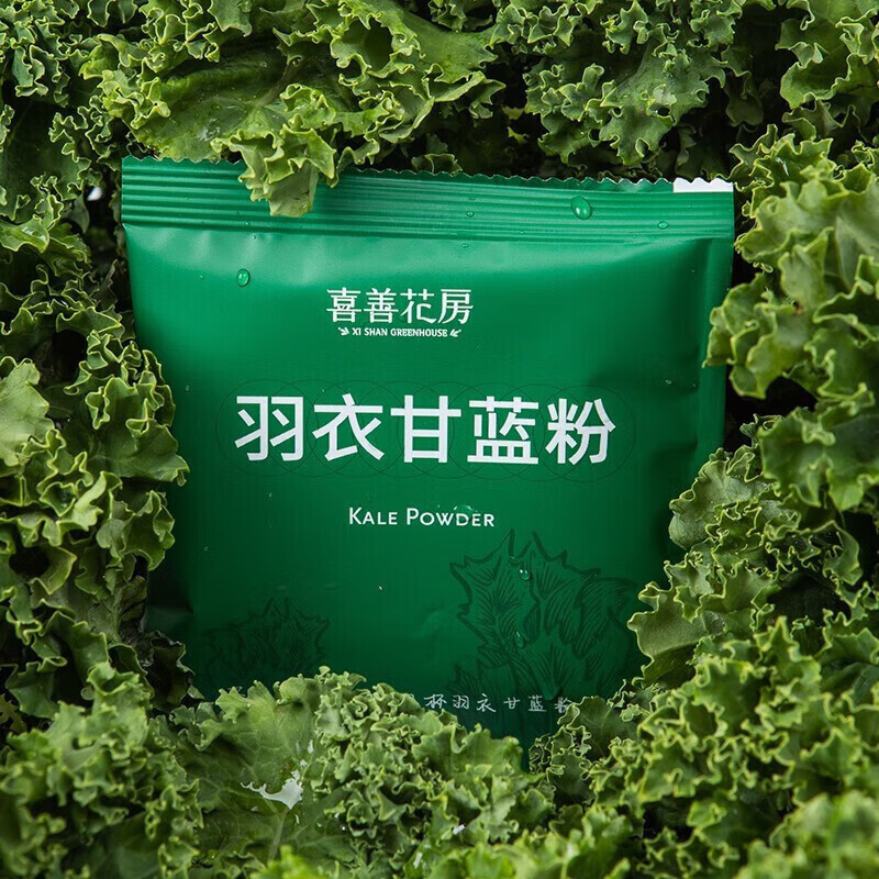 喜善花房 羽衣甘藍粉 膳食纖維粉蔬菜粉即食沖飲青汁代餐 羽衣甘藍 羽衣甘 羽衣甘藍粉 300g *2袋