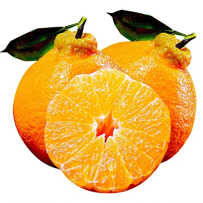 壹棵弘芯正宗现摘丑八怪柑橘子新鲜水果当季酸甜口湖北橘子生鲜整箱 特选5斤超值大果 单果70MM+净重4斤