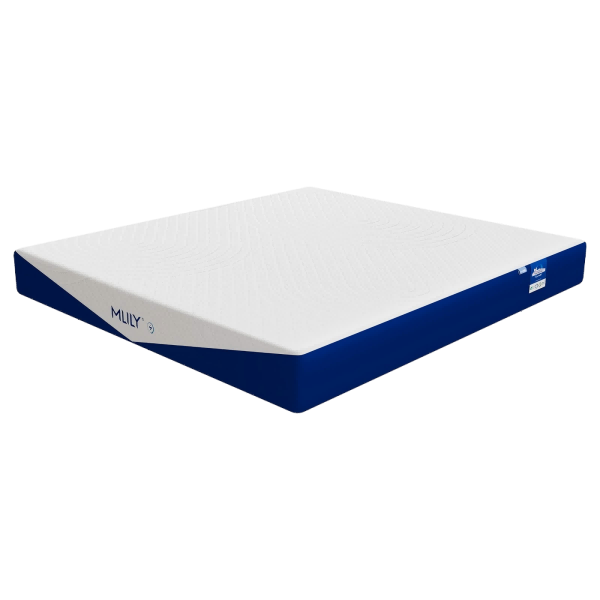 �ΰٺ� ���С���� ��ѹ�����޵��ɴ��� ϯ��˼ 1.8��x2�� ����ƫӲ 2146.51Ԫ