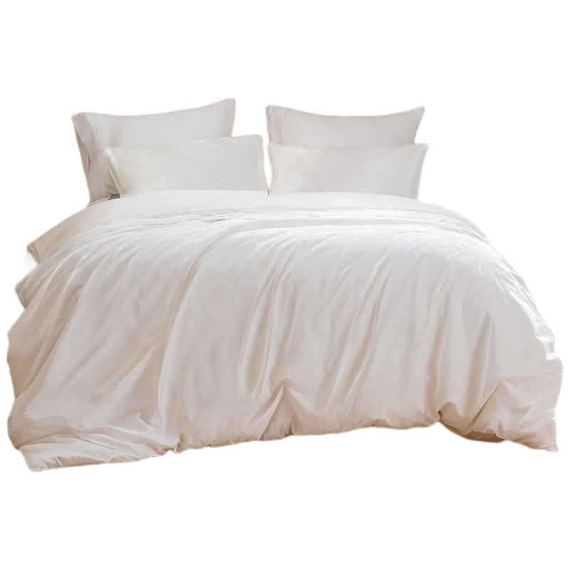 Ǯʲ˿100%˫ɣϳ˿ ů 4.5 200*230cm 