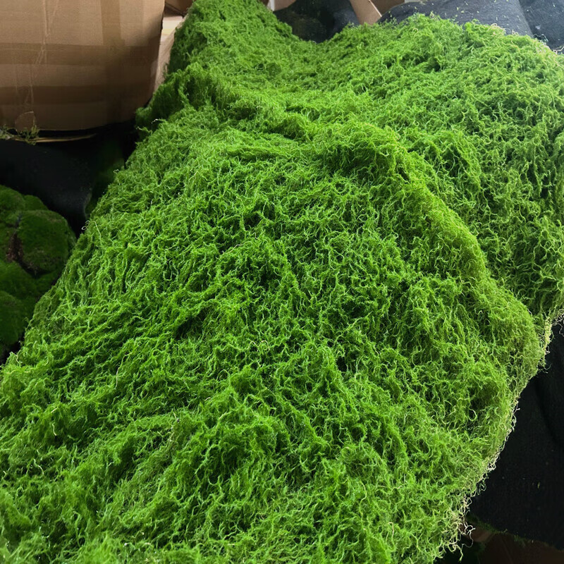人造苔藓地毯永生花草坪青苔墙绿植墙园林文化馆软装沙盘景观盆景