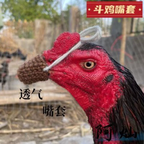 斗鸡专用斗鸡护具斗脚套斗鸡嘴套斗鸡训练用品护具斗鸡训练工具 4只脚