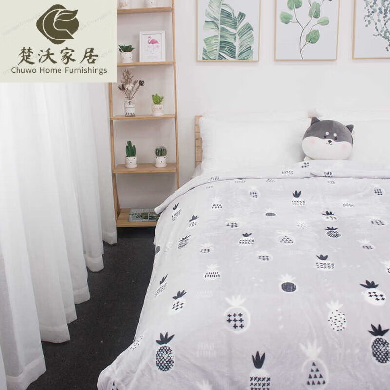 辉客映上毛毯被子加厚冬季法兰绒毯宿舍学生珊瑚绒床单人办公室午睡小毯子 150cm*200cm 黑凤梨