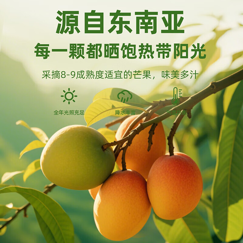 味滋源芒果干 水果干果脯休闲零食办公室下午茶小吃芒果肉 120g*2袋