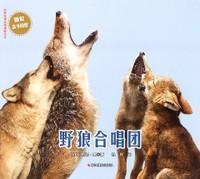 野狼合唱团丹妮·王浙江摄影出版社9787551412810 童书书籍