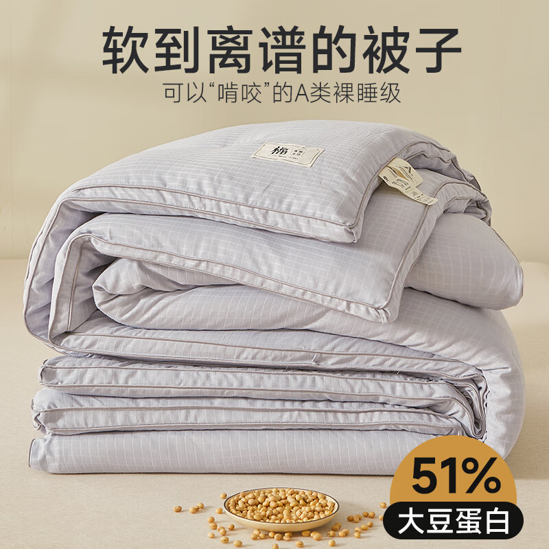 苏萱50%大豆纤维被子春秋被加厚保暖冬被宿舍学生单人棉被芯四季通用 灰色 200x230cm冬被【约重8斤 适合室温9-14°C】