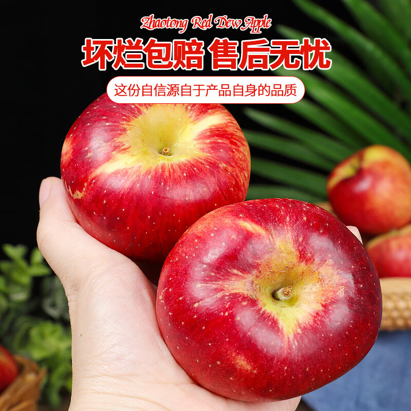 家佳供云南昭通红露苹果当季脆甜红富士冰糖心丑苹果新鲜水果包邮 5斤小果(单果55-70mm)
