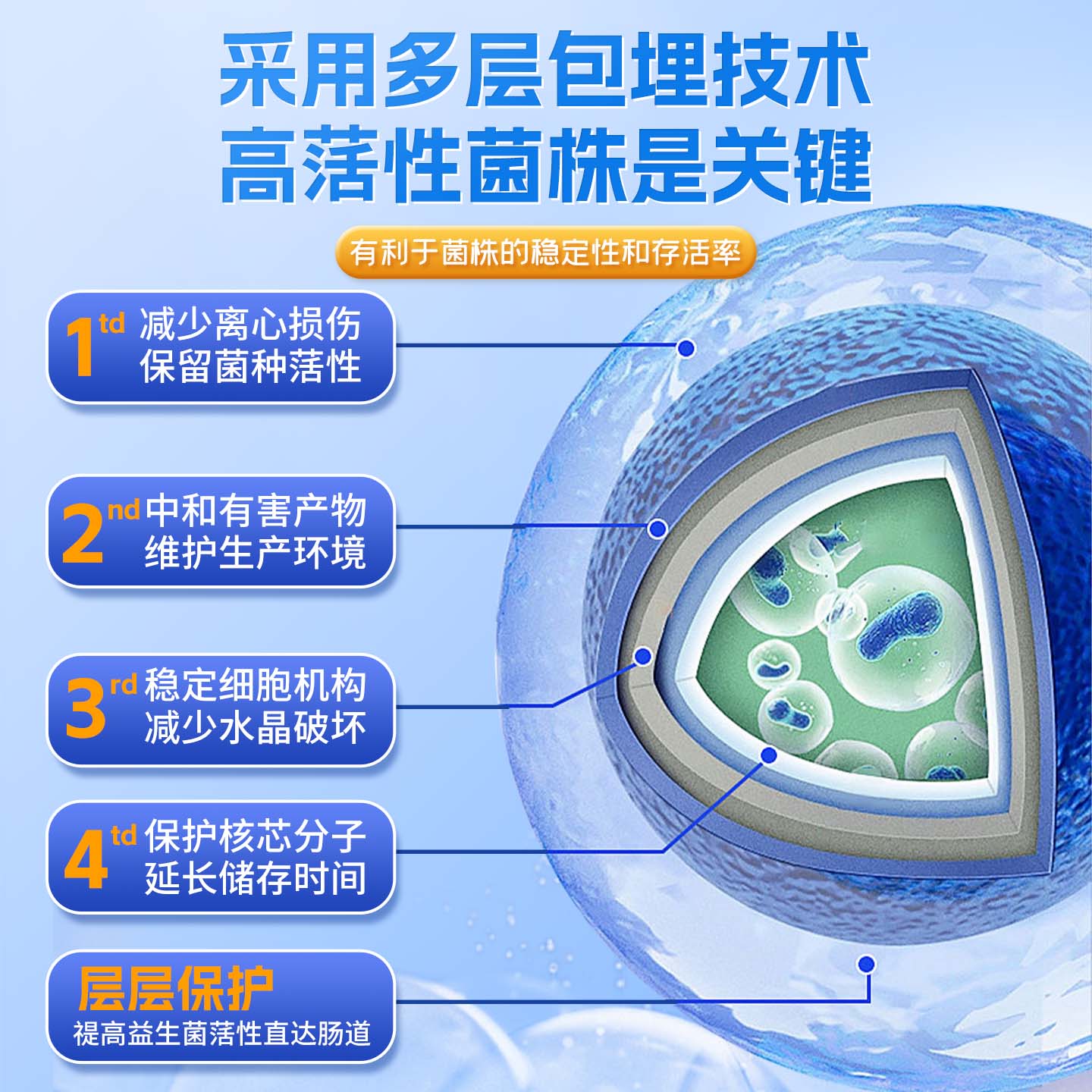 果维康五联即食型乳酸菌 五联乳酸菌 两种益生元 28袋*4盒