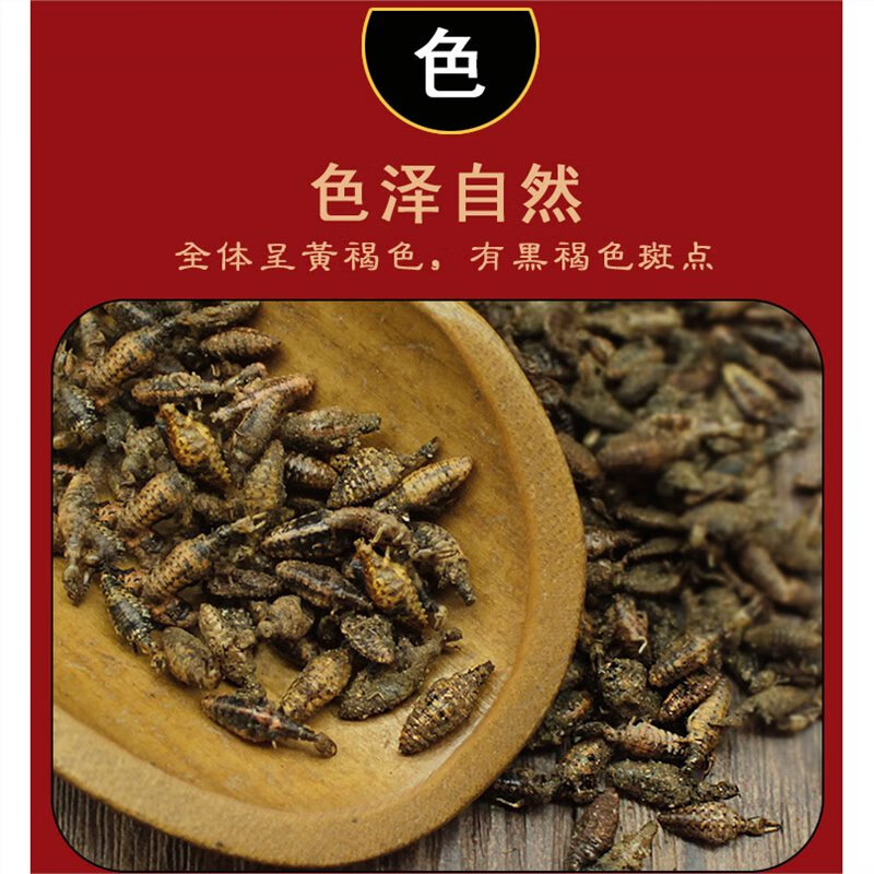 正宗金沙牛中药材正宗金砂牛倒行狗子睡虫干净野生地牯牛蚁狮 金沙牛 5g*1罐
