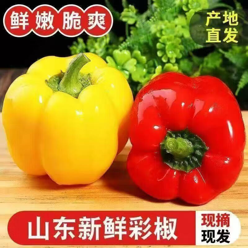 彩椒五彩甜椒水果彩椒圆椒不辣太空椒新鲜可即食减脂代餐蔬菜 山东彩椒红+黄带箱2斤