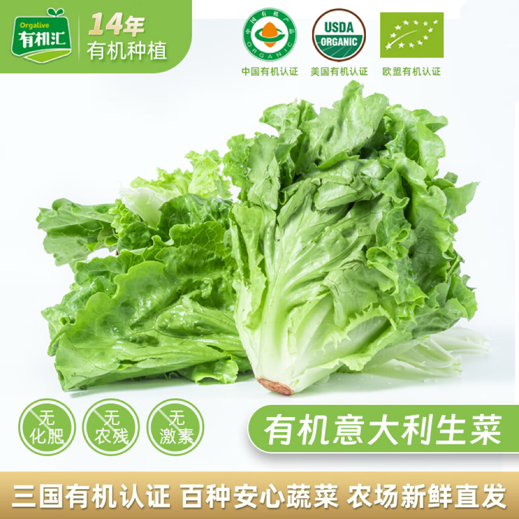 沙拉吃不饱？吃了凉不凉？给你说一说沙拉到底怎么做