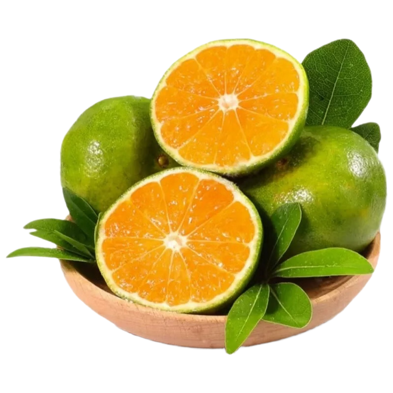 京觅宜昌蜜桔 精选新鲜蜜橘皮薄多汁净重4.5斤60mm+橘子源头直发包邮
