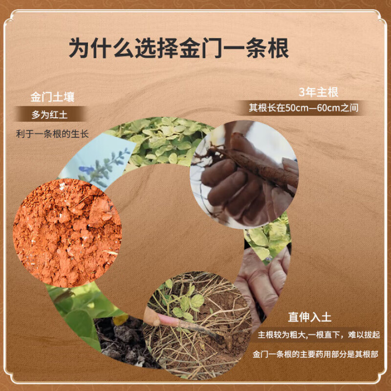 金门一条根台湾原装正品强力贴膏药精油贴布筋骨贴牌一条根官方旗舰店 一盒【体验装】