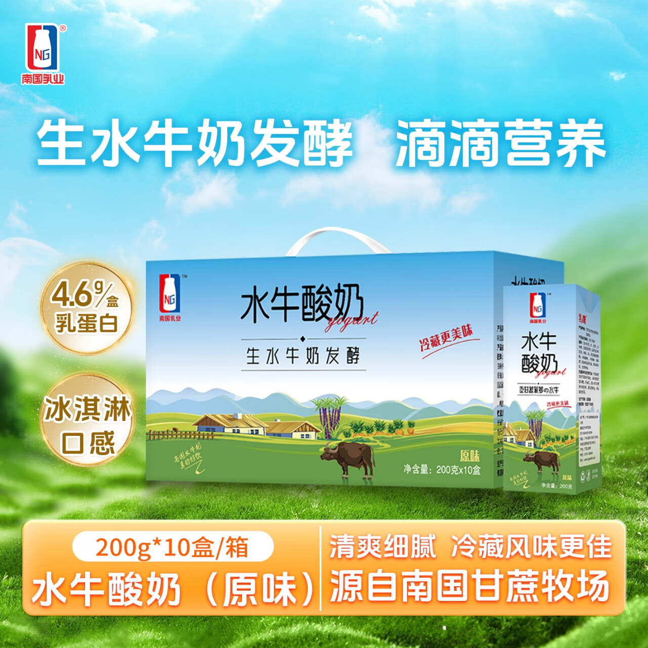 南国乳业水牛酸奶200g*10盒 原味 学生营养早餐酸奶饮品吃甘蔗菠萝的