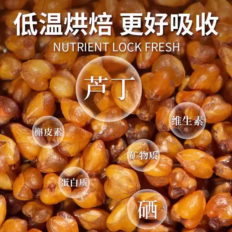 南京同仁堂黑苦荞茶可搭特级中药材泡水喝正宗大凉山黑苦荞珍珠茶 【南京同仁堂-官方正品】吃的放心 250g*1瓶 大凉山黑苦荞茶【3瓶/750g】健康食养推荐