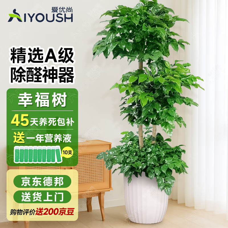 �������Ҹ������Կ������ڴ�����ֲ�칫����Ǩ�¼��̱���������Դͷֱ��