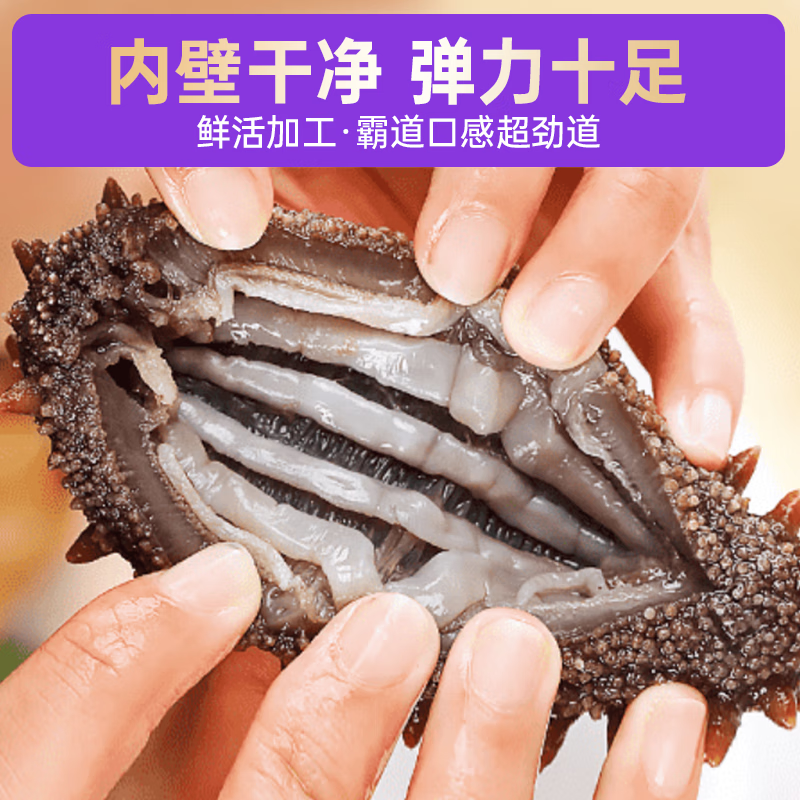 小兵海参候勇推荐-正宗辽参鲜食海参|正宗辽刺参|不挂冰|温水解冻即食 【1斤体验装】单斤直降100元 10-12头/斤