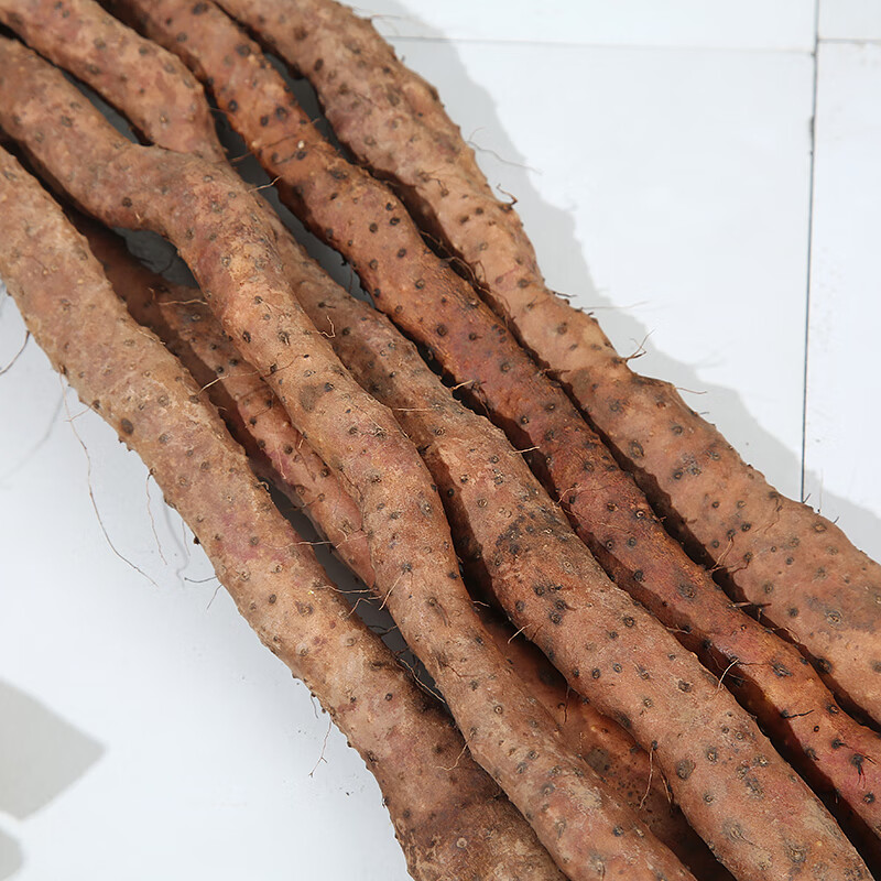 温县铁棍山药【产地直发】河南焦作温县怀山药五斤新鲜铁棍怀山药垆土铁杆淮山 【特级大果】65-68厘米左右（老客推荐）