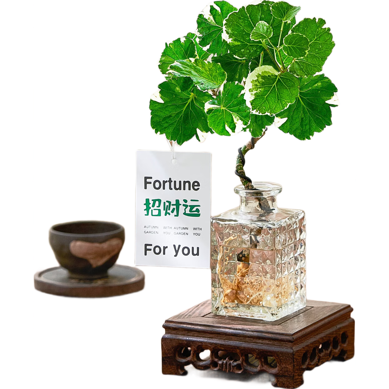 ڲˮԲҶ»ͩǮֲˮֲķƿľԴͷֱ 40.66Ԫ()