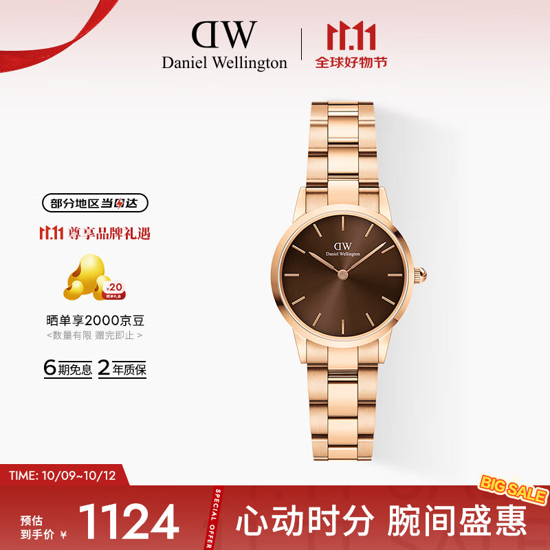 丹尼尔惠灵顿（DanielWellington）DW小精钢女表棕色表盘钢带欧美简约风腕表节日礼物DW00100463