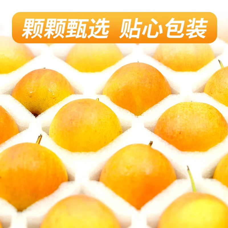 澄州呈礼正宗南果梨 辽宁鞍山红南国梨东北特产香水梨子新鲜水果 京东快递 黄南果梨 试吃装2斤