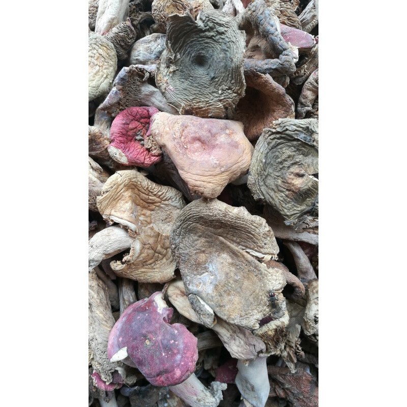 湖南特产精选正宗野生菌干货野生杂菇野蘑菇杂菌干菌子 500g