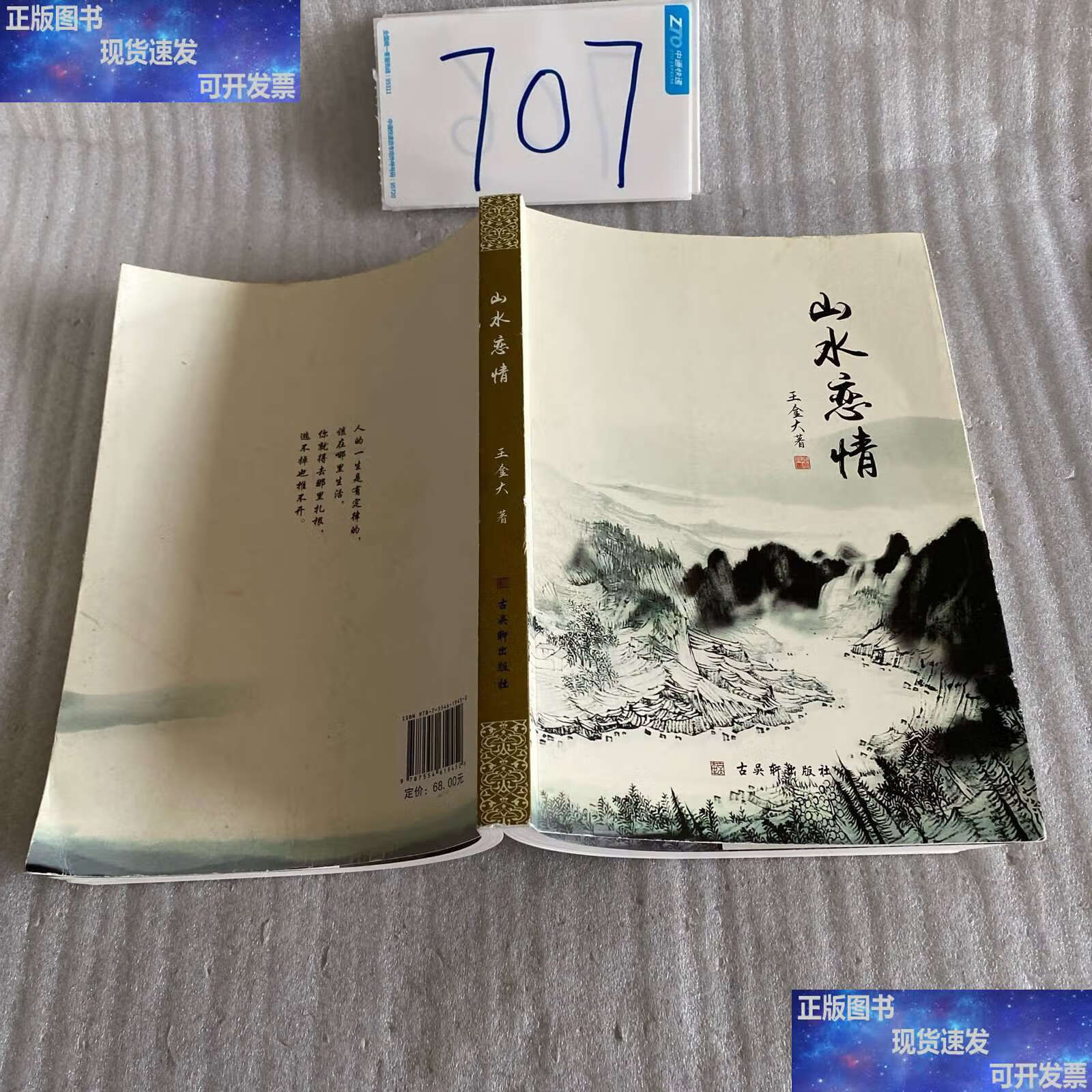 山水恋情 /王金大 古吴轩