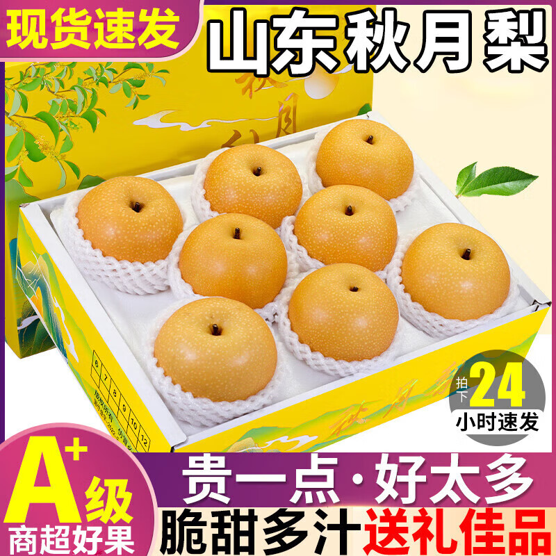 粤迎山东秋月梨新鲜水果冰糖梨脆甜多汁送人送礼当季水果盒装年货送礼 5斤精选果【脆甜多汁】净4.5斤