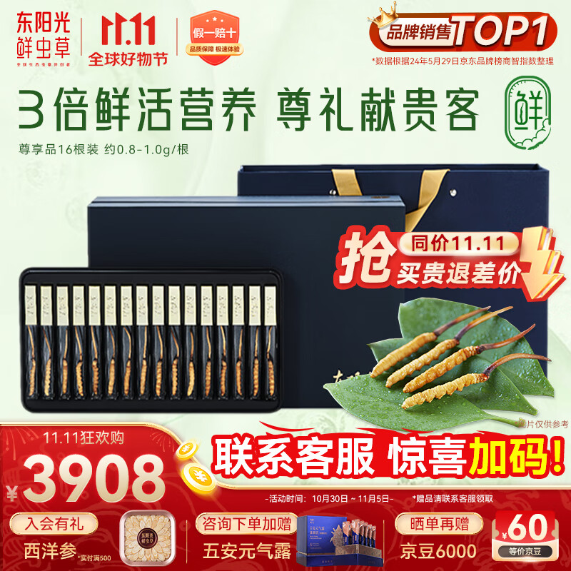 东阳光鲜虫草0.8-1g/根16根新鲜冬虫夏草补品送长辈老人源头直发包邮