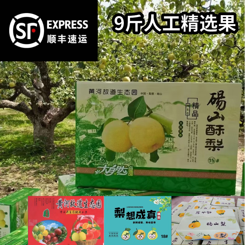 正宗安徽砀山酥梨 砀山梨  酥梨止咳润喉 梨子水果 [9斤精品果彩箱]【顺丰快递】