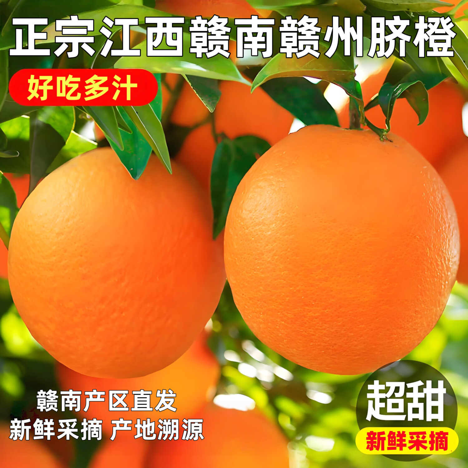 江西正宗赣南赣州脐橙当季新鲜【源头直发】手剥孕妇儿童香甜水果 【80%人选-个头合适】净重4.5斤单果70mm及以上