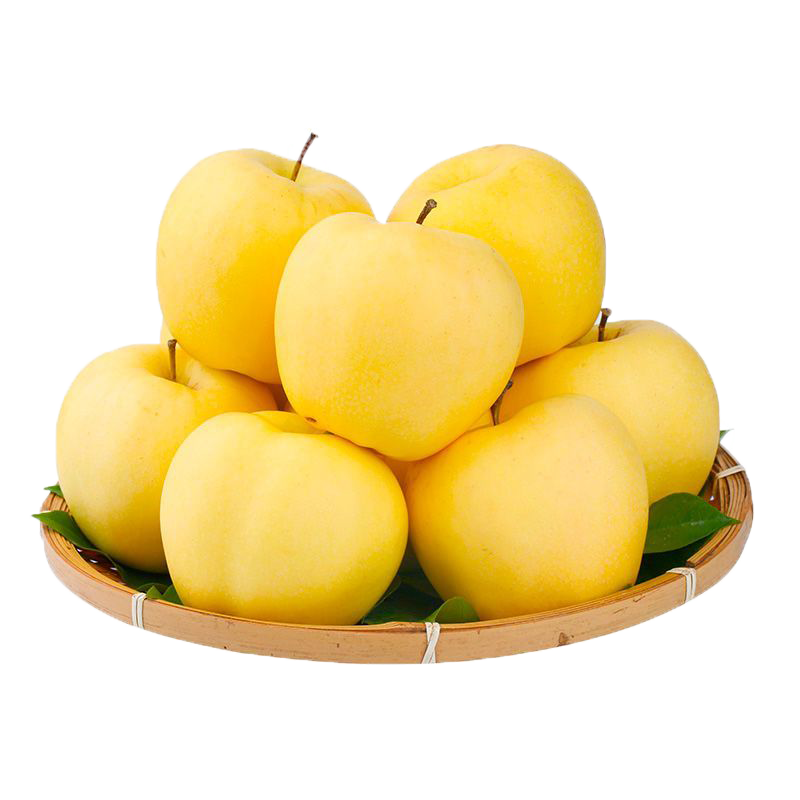 ���ش�������Ԫ˧ƻ�� ����4.5�� ����80mm+ ����ˮ�� Դͷֱ������ 23.8Ԫ