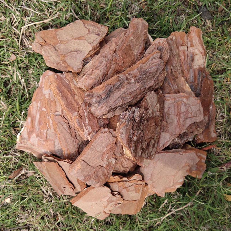 打磨松树皮松鳞松树皮有机覆盖物树皮基质铺面树穴发酵腐熟松树皮