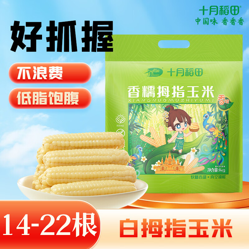 十月稻田 云南白拇指玉米 2斤(14~22根) 25年新玉米 早餐零食 西双版纳